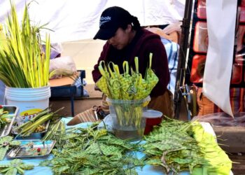 Se ofertará una gran variedad de elementos para recibir a los difuntos