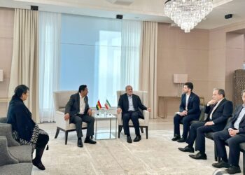 Luis Arce se reúne con el presidente de Irán para ‘fortalecer’ la cooperación mutua