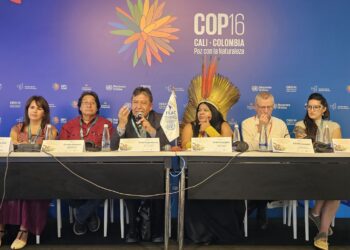 Choquehuanca: Los operadores de la cultura de la muerte han venido a sabotear la cultura de la vida