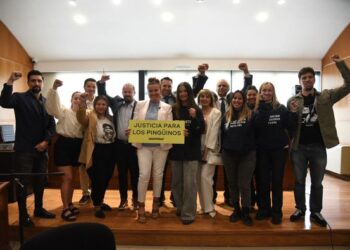 Activistas y abogados celebraron el fallo