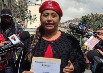 Pan-Bol niega que haya acordado la candidatura de Evo Morales