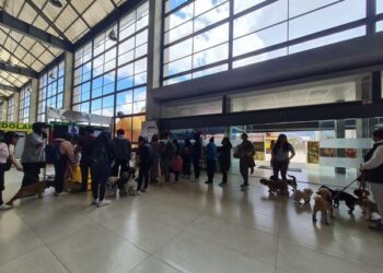 Hubo gran expectativa por las adopciones