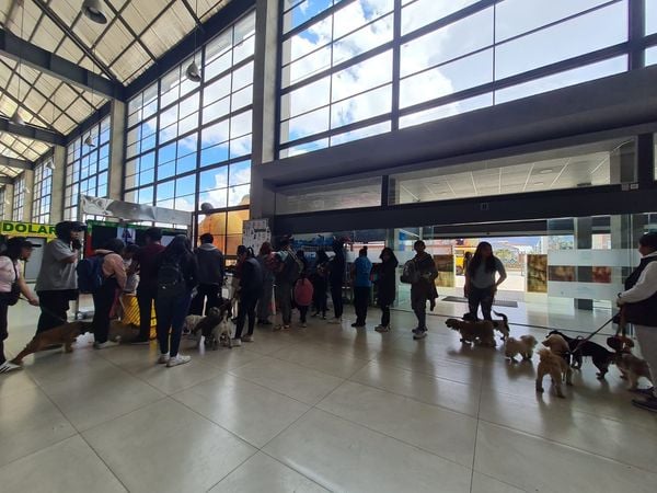Hubo gran expectativa por las adopciones