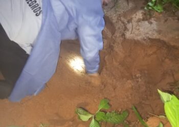 El forense exhumó el cuerpo de la bebé