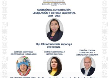 Cámara de Diputados publica las listas de las comisiones y comités para la última legislatura