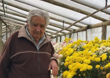 José 'Pepe' Mujica, falleció a los 89 años/ RRSS Pepe Mujica