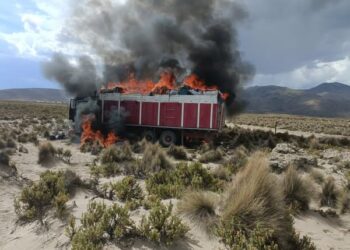 El camión con contrabando fue incinerado