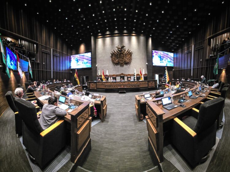 El Senado sesiona este miércoles y se espera el debate de la ley de escaños