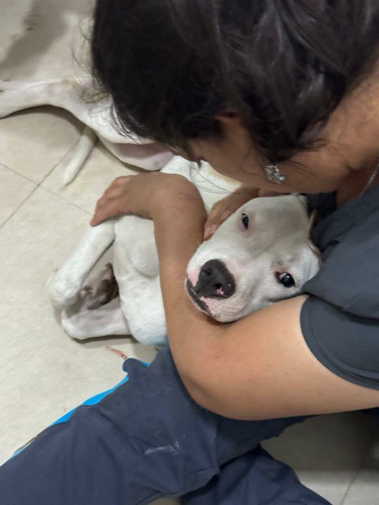 Sasha recibe muchos mimos del Centro de Zoonosis en Santa Cruz