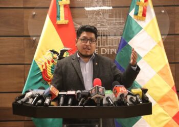 Presidente de Diputados prevé el debate de la ley de distribución de escaños el viernes