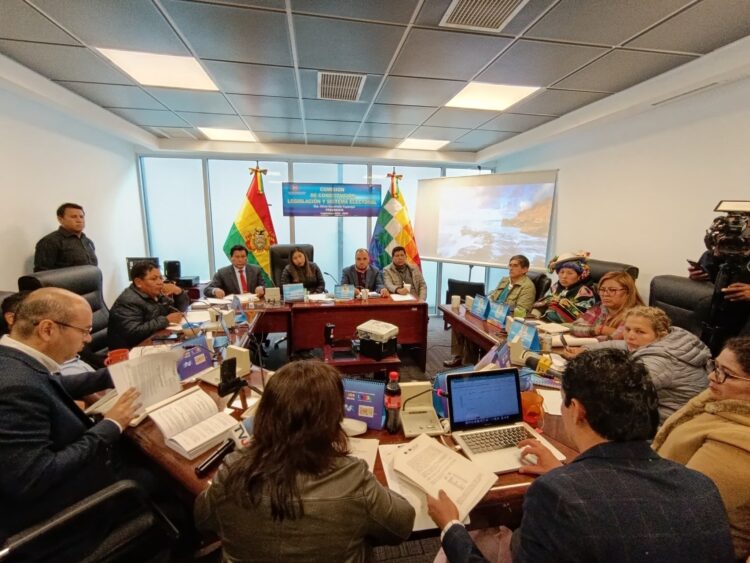 Ley de escaños se deja esperar y comisión reprograma sesión para el miércoles a las 17.00