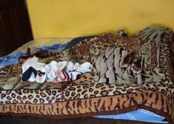 Leslie falleció desangrada en su cama
