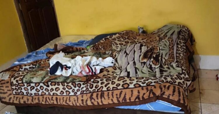 Leslie falleció desangrada en su cama