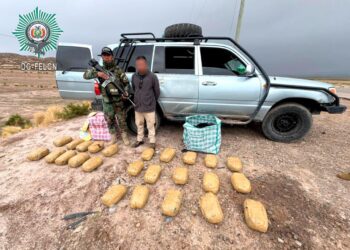 El aprehendido por la FELCN y la droga decomisada