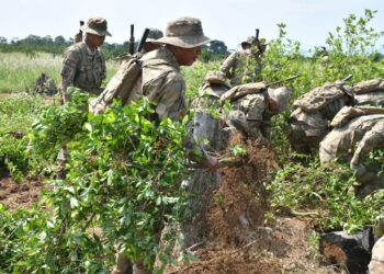 Gobierno declara al Parque Nacional El Choré libre de cultivos de hoja de coca