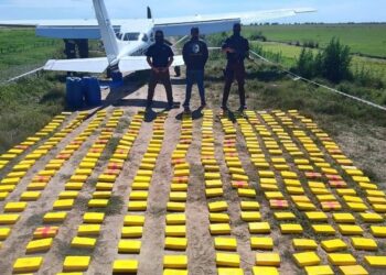 La droga decomisada en el operativo