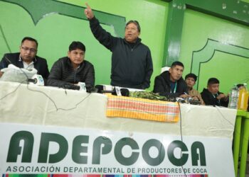 Vicepresidente dice que la industrialización de la hoja de coca puede superar los ingresos del gas