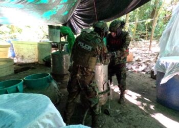 El Gobierno destruye tres laboratorios de producción de cocaína en el Chapare