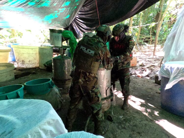 El Gobierno destruye tres laboratorios de producción de cocaína en el Chapare