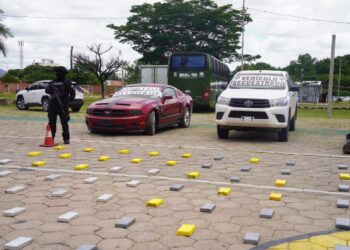 La FELCN afecta al narcotráfico en más de $us 1 millón en dos operativos en Santa Cruz