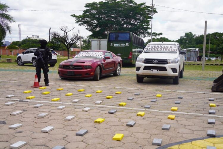 La FELCN afecta al narcotráfico en más de $us 1 millón en dos operativos en Santa Cruz
