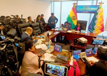 Comisión de Constitución tratará este martes ley electoral de debate público y obligatorio