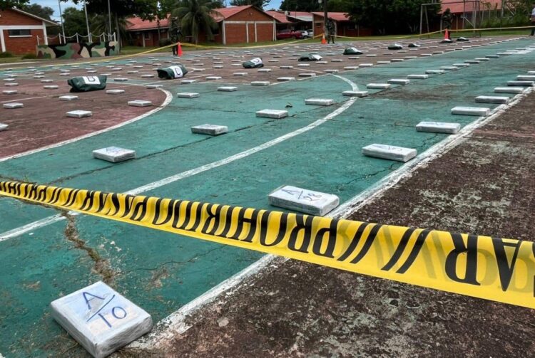 FELCN afecta al narcotráfico en más de un millón de dólares en Beni