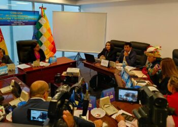 Tahuichi revela que hay un acoso de parte del Gobierno sobre la implementación del TREP