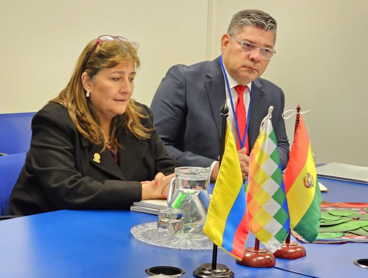 La ministra de Justicia de Colombia, Ángela María Buitrago