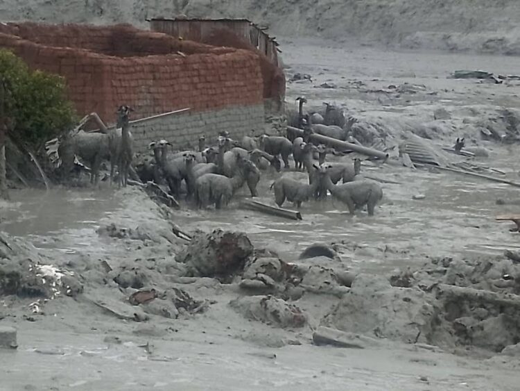 Hay 170 municipios afectados por las lluvias en el país.