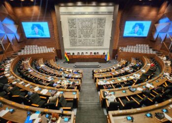 Diputados aprueba ley del TREP, suspende ley de debate electoral y tratamiento de los créditos externos