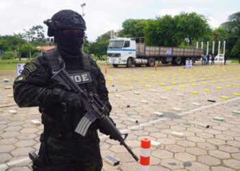 La FELCN incauta droga, hongos alucinógenos, bienes inmuebles y afecta al narcotráfico en más de $us 1,6 millones