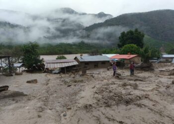 Una mazamorra ingresó a la comunidad Santa Rosa de Pata en el municipio de Apolo.