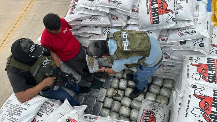 La droga estaba debajo de sacos con sal