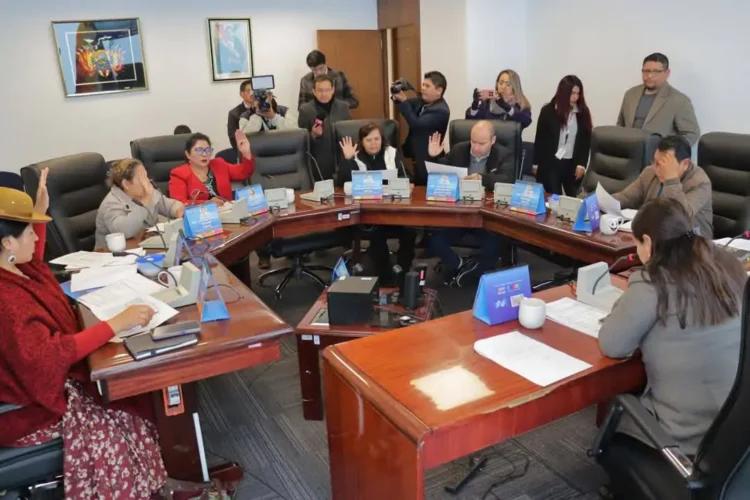Comisión aprueba dos leyes electorales y posterga inclusión de vocales a le Ley 044