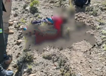Los niños fueron encontrados al pie de un cerro/Policía Boliviana
