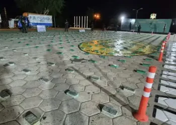 La FELCN realizó cuatro operativos exitosos en Santa Cruz/FELCN