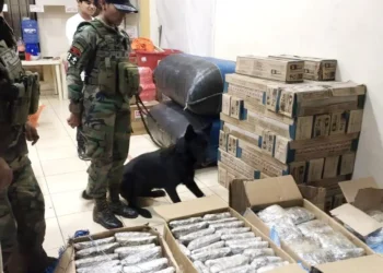 Tango detectó la droga oculta en cajas de cortón/ FELCN