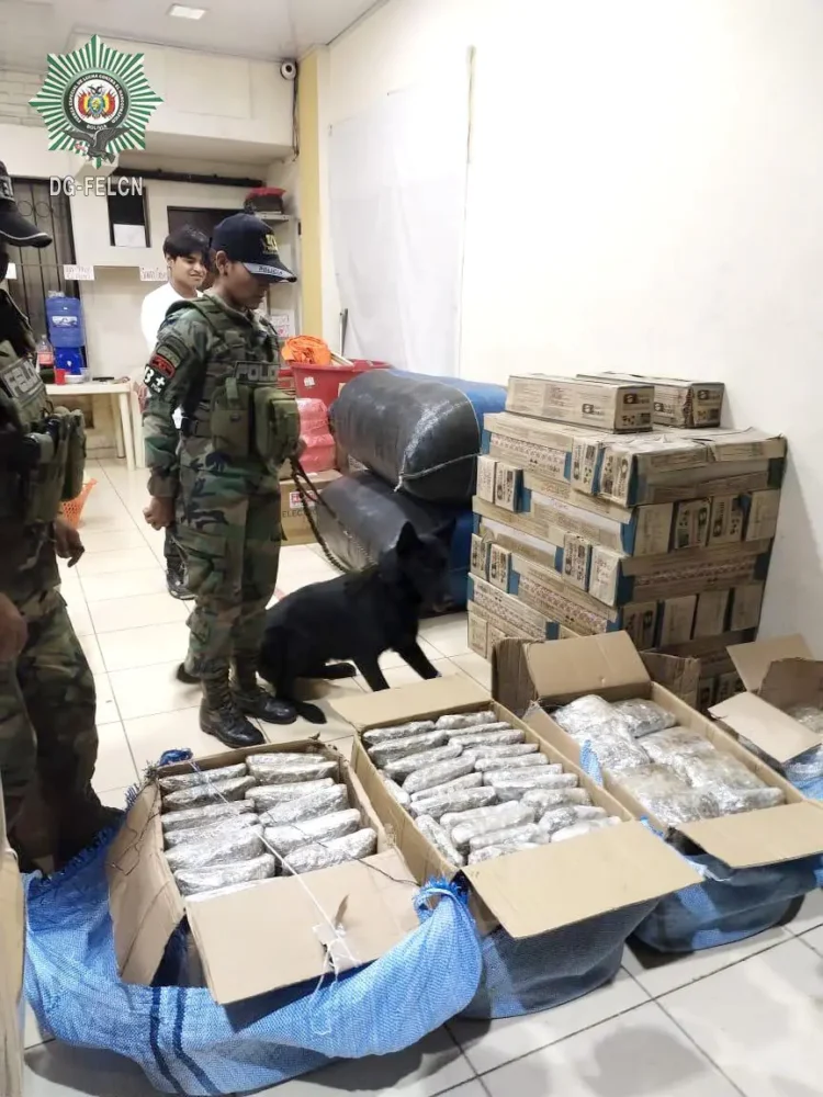 Tango detectó la droga oculta en cajas de cortón/ FELCN