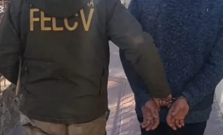 La mujer fue aprehendida por la FELCV/ RRSS