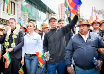 Patzi admite que candidatura de Prado resta a Andrónico en comicios