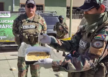 La droga decomisada en la frontera con Chile/ FELCN