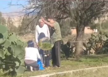 Una mujer fue agredida por dos hombres por recolectar tunas de un espacio público.