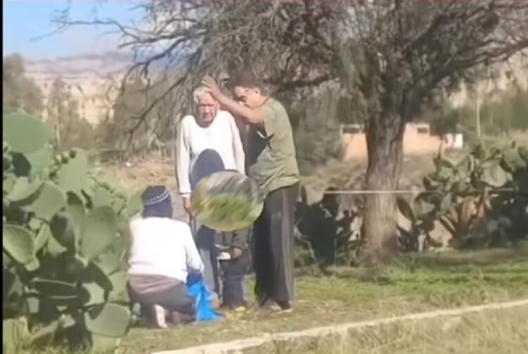 Una mujer fue agredida por dos hombres por recolectar tunas de un espacio público.