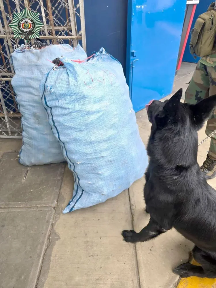 Tango detectó la droga/ FELCN