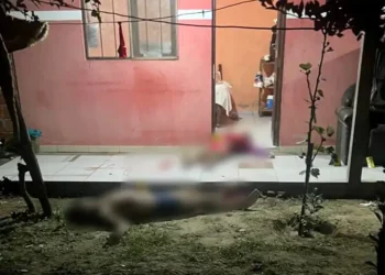 Las víctimas fueron encontradas en el patio de la vivienda/ Policía Boliviana