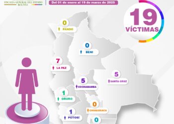 Registro de casos de feminicidios en el país.