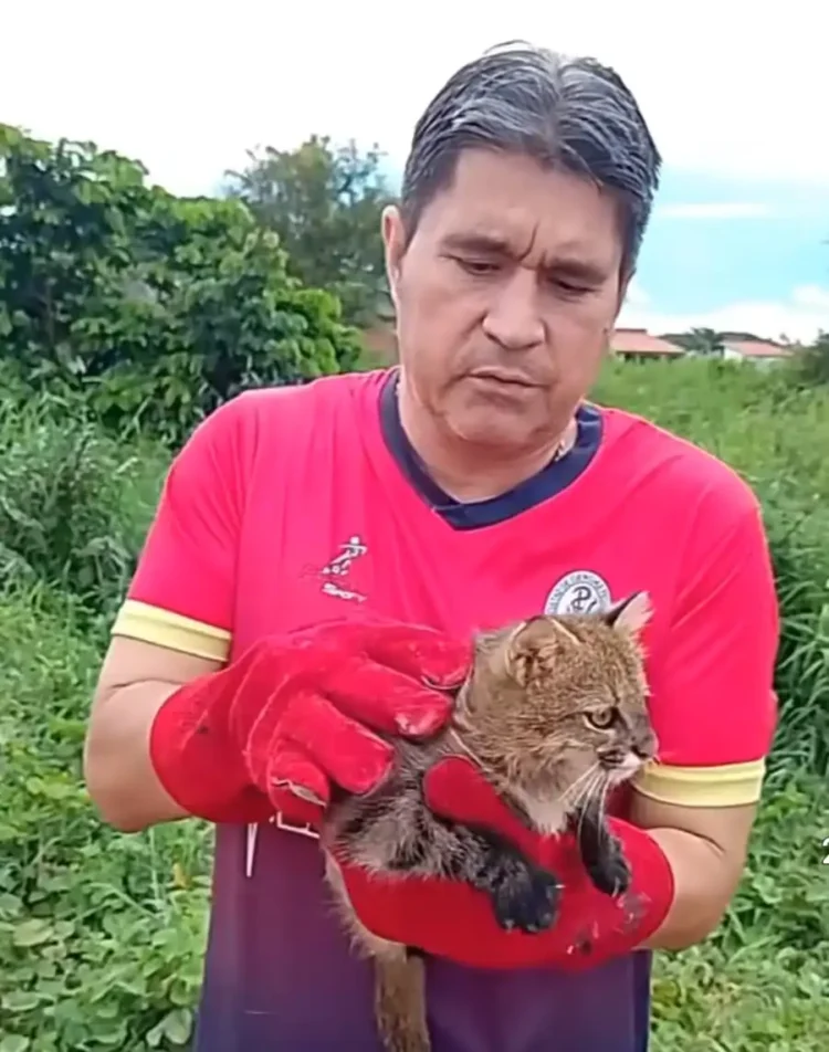 Marco Greminger muestra al felino rescatado
