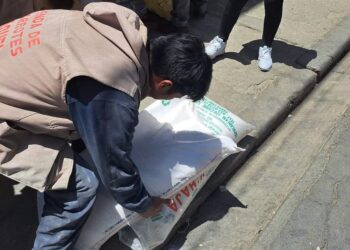 En operativo, la Intendencia halla azúcar contaminada con orín y heces de roedores.