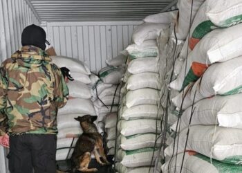 En operativo hallan 21 toneladas de harina de soya mezclada con cocaína.